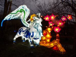 Lit up lantern of a Chinese-style griffin with a tree of pink flowers behind it.