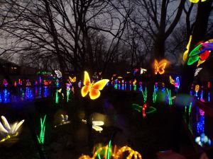 Depiction of lit up butterfly lanterns and flowered lights along a boardwalk in the dark.